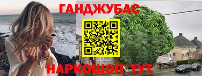 гидра Славгород