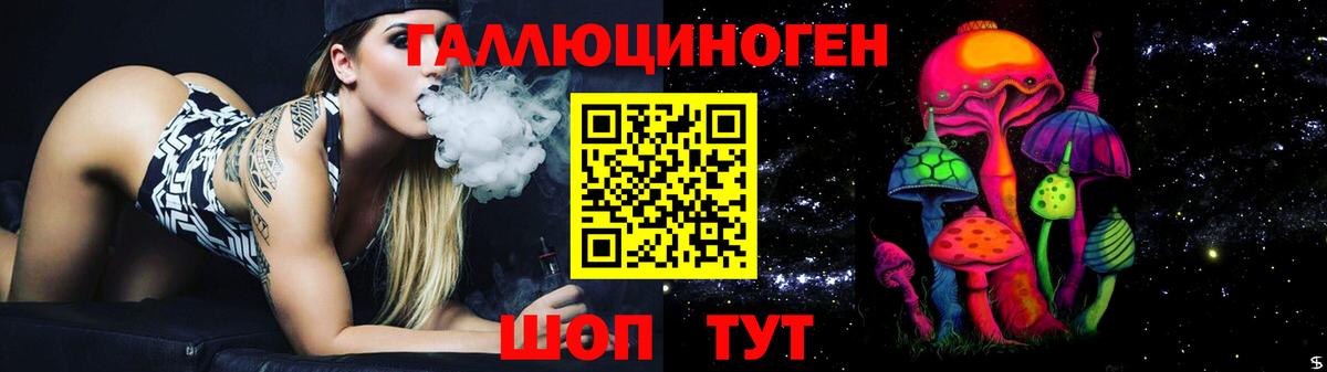 Россошь  Галлюциногенные грибы Cubensis  Вход с VPN 